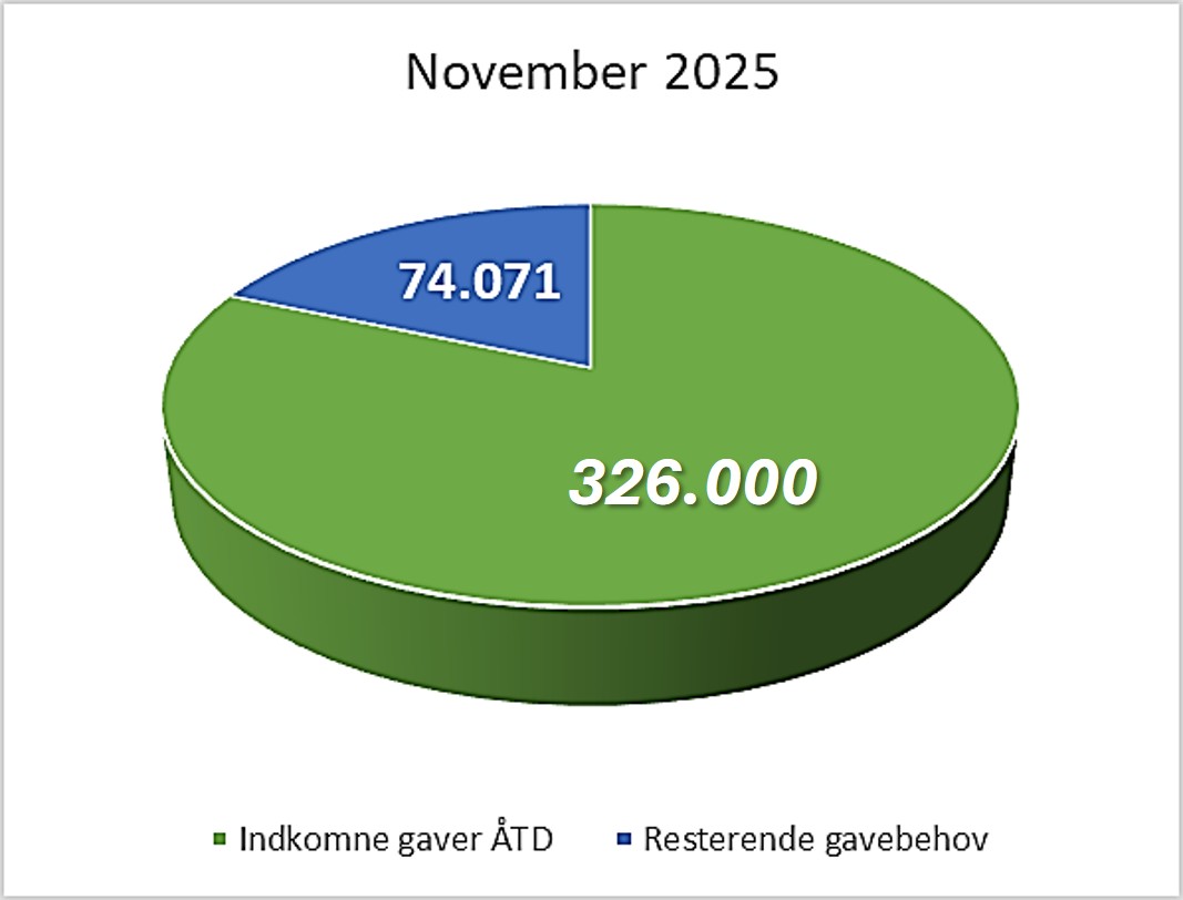 Lagkagegraf 2025 november